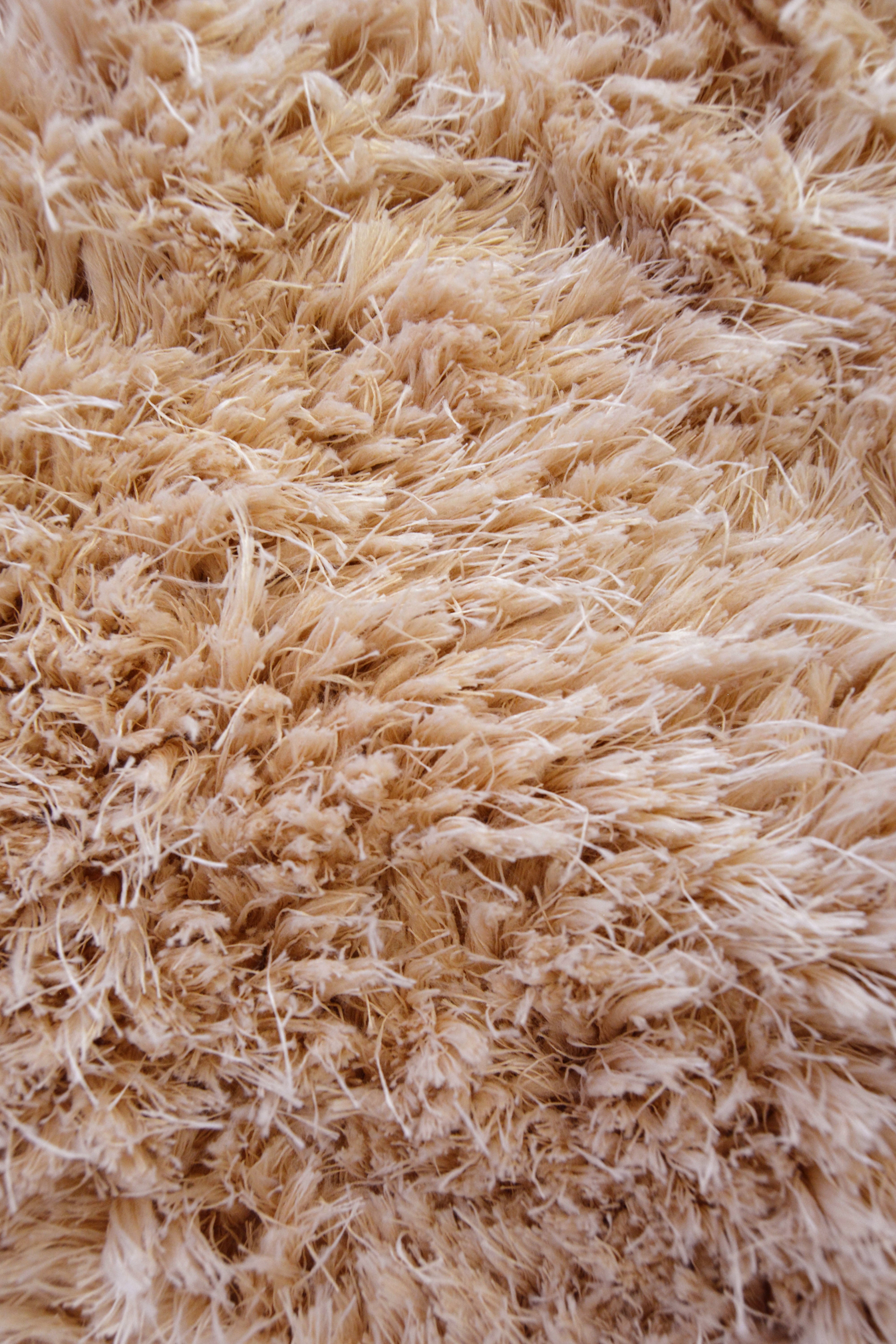 Soft Washable Elegance - Cozy Rugs in Ivory, Champagne, Grey & Pink